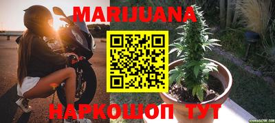 трава Заводоуковск