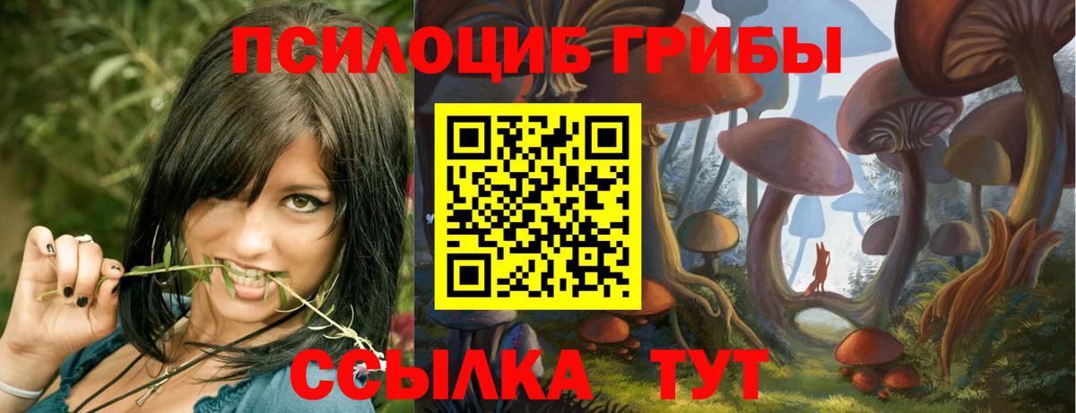 Псилоцибиновые грибы MAGIC MUSHROOMS  Вход с VPN  Галлюциногенные грибы прущие грибы  Кызыл 